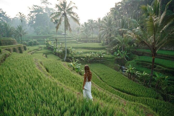 Bali 2 Days All-Inclusive Nusa Penida and Ubud Package - A Detailed Look at the Bali 2-Day All-Inclusive Nusa Penida and Ubud Tour