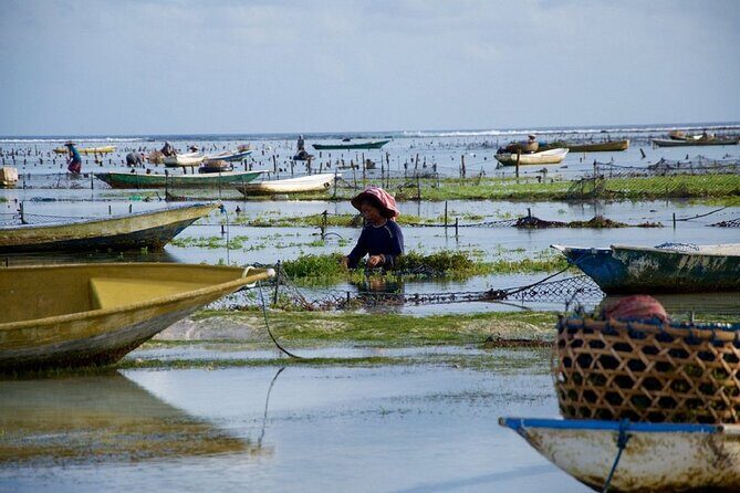 Bali 2 Days and 1 Nights of Nusa Penida and Lembongan Tour - Possible Drawbacks or Considerations