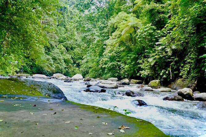 Bali Adventure Combo ATV Quad Bike with White Water Rafting - Who Should Consider This Tour?