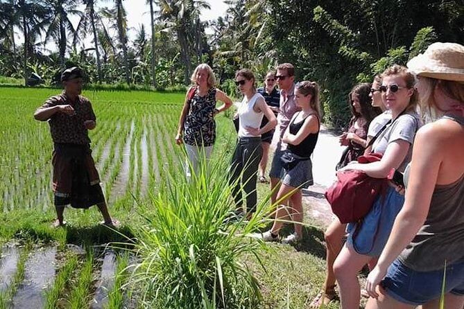 Bali Amazing Cooking Class - FAQs