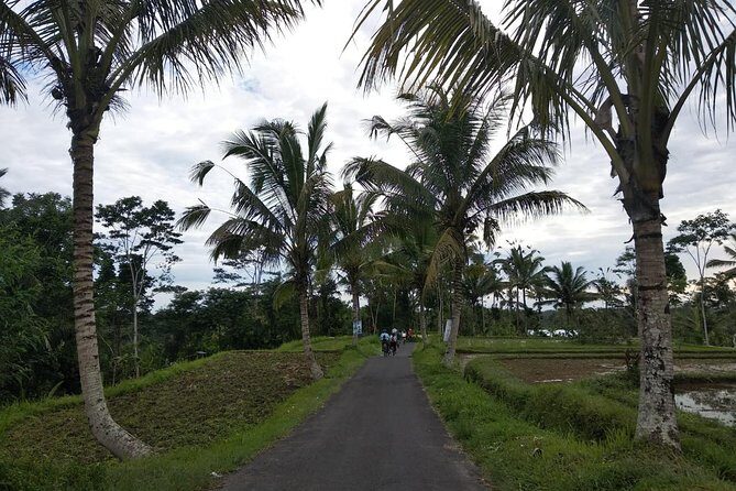 Bali Amazing Cycling Tour - Key Points