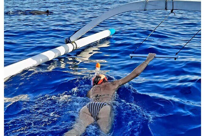 Bali and Lovina with Sunrise Dolphin Tour and Snorkeling - Authenticity and Experience