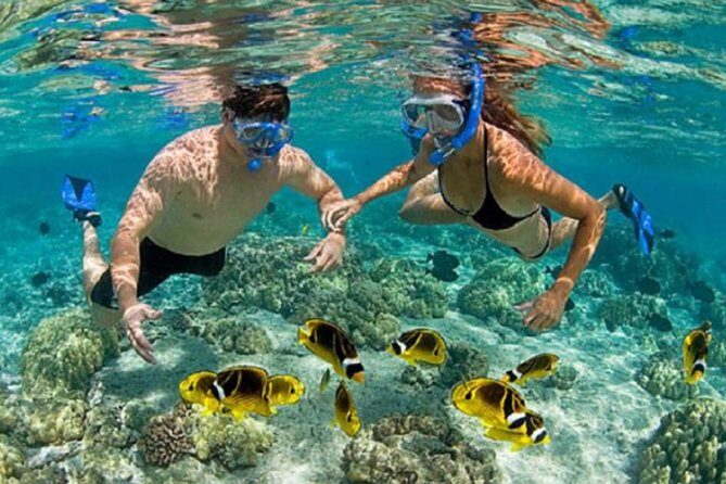 Bali ATV Blue Lagoon Snorkeling Private Guided Tour Free WiFi - Who Should Consider This Tour?