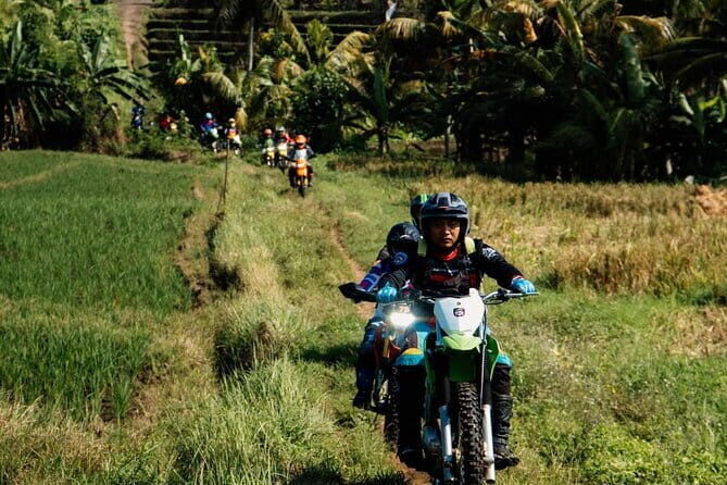 Bali ATV Quad Bike Adventure, Ubud Swing & Monkey Forest - FAQ