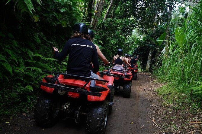 Bali ATV Quad Bike Adventure with Gorilla Cave Pass By Waterfall - The Sum Up