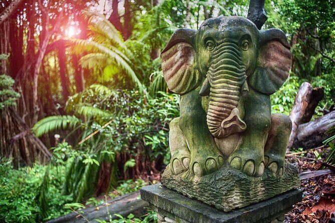 Bali ATV Quad Bike with Ubud Day Tour All Inclusive - The Value of This Tour