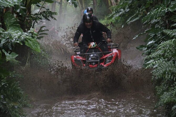 Bali ATV Quadbike Through Gorilla Face Cave - Key Points