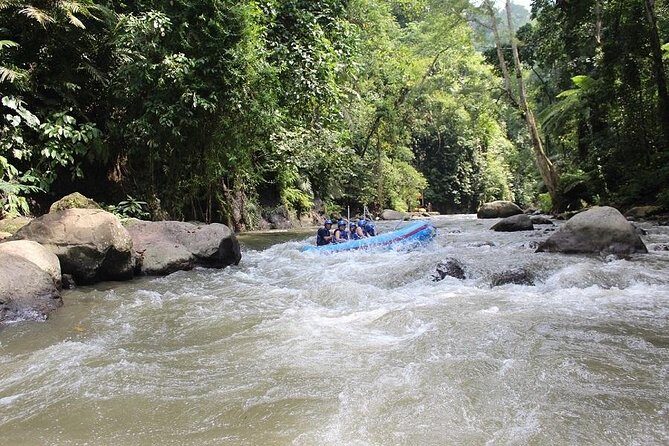Bali ATV Ride Adventure & White Water Rafting with All-Inclusive - Who Will Appreciate This Tour?