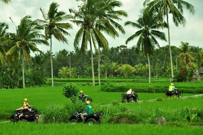 Bali ATV Ride Ubud Jungle Track - Frequently Asked Questions