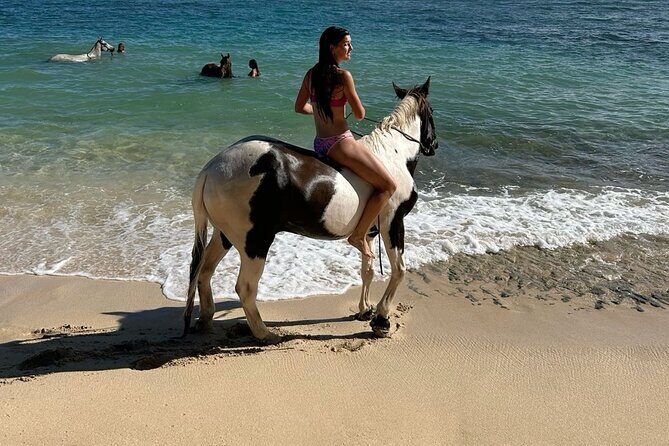 Bali Beach Horse Riding combo with waterfall All Inclusive - Key Points