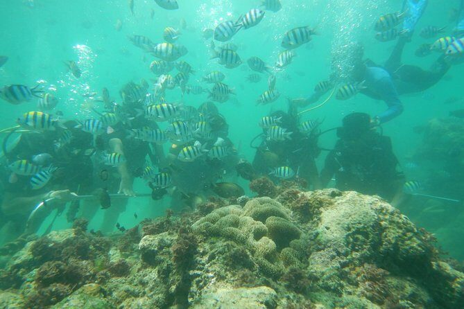 Bali Beaches Hopping - Uluwatu Temple - The Sum Up