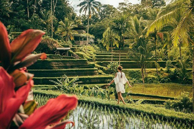Bali BEST Things to Do Private Full-day Tour from Your Hotel - Who Would Love This Tour?