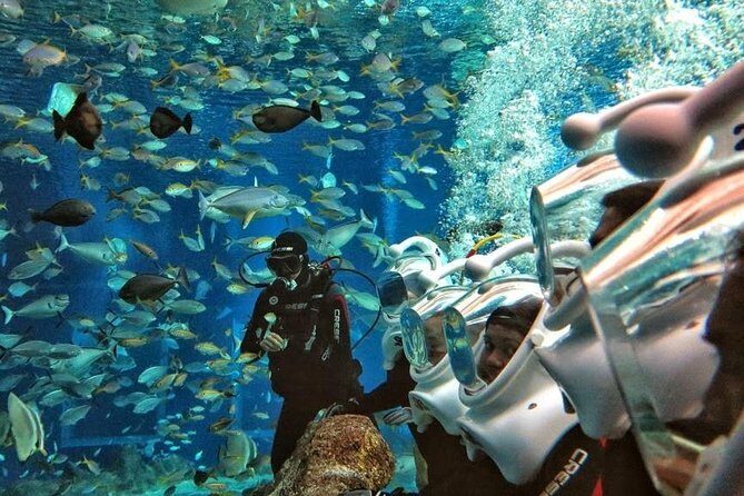 Bali Best Watersport Sea walker,Parasailing adventure,Jet sky - Exploring the Tour in Detail