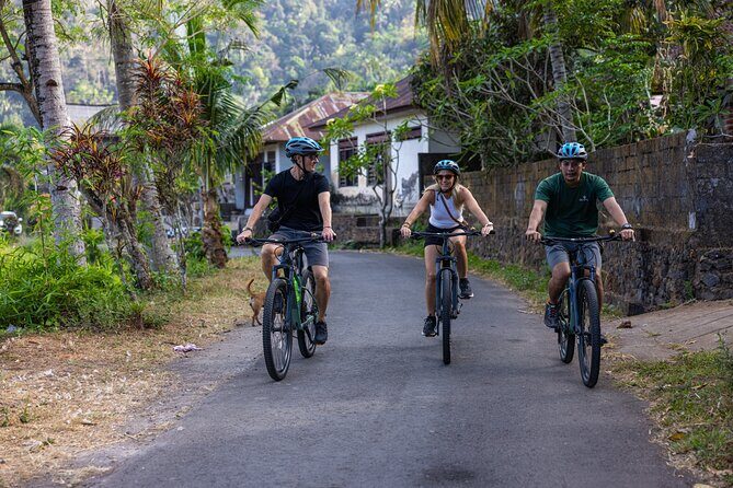 Bali Bike Tour Ubud Area - Exploring the Bali Bike Tour Ubud Area: An In-Depth Look