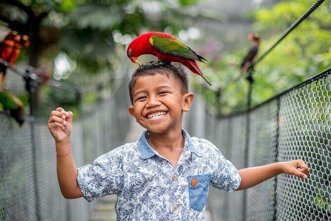 Bali Bird Park Admission Ticket - Exploring Bali Bird Park: An Authentic and Fun Encounter