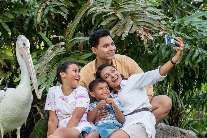 Bali Bird Park Admission Ticket - Final Thoughts: Is Bali Bird Park for You?