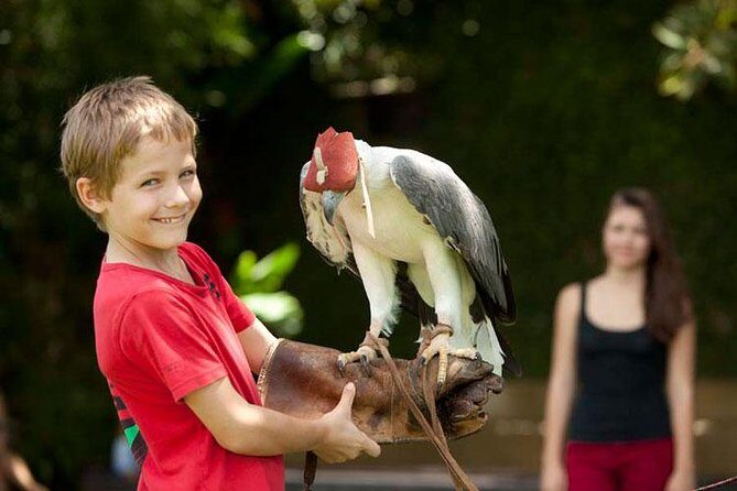 Bali Bird Park Admission Ticket with Hotel Transfer - Key Points