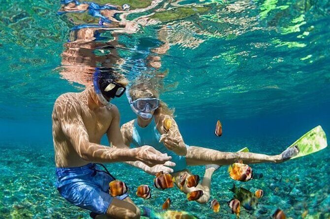 Bali Blue Lagoon Snorkeling - Lunch and Transport All Inclusive - Key Points