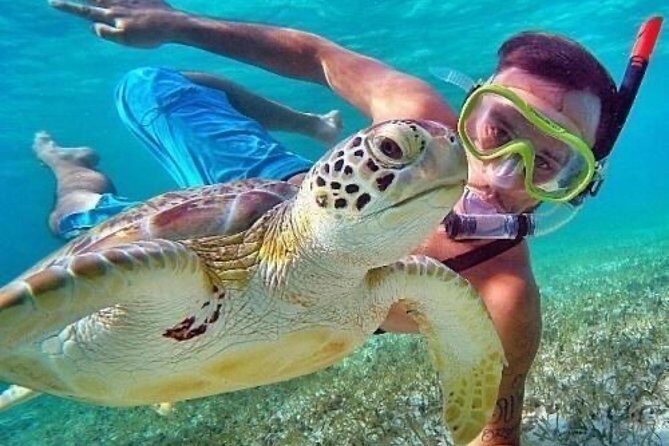 Bali Blue Lagoon Snorkeling - Lunch and Transport All Inclusive - Frequently Asked Questions