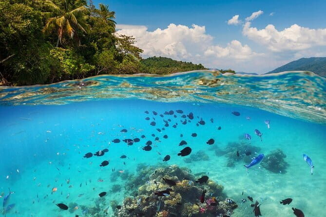 Bali Blue Lagoon Snorkeling Tour All Inclusive - A Deep Dive Into the Bali Blue Lagoon Snorkeling Tour