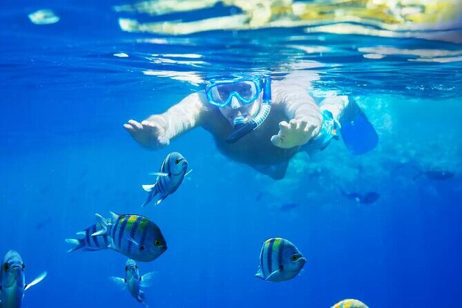 Bali Blue Lagoon Snorkeling with Private Transfer and Lunch - Key Points