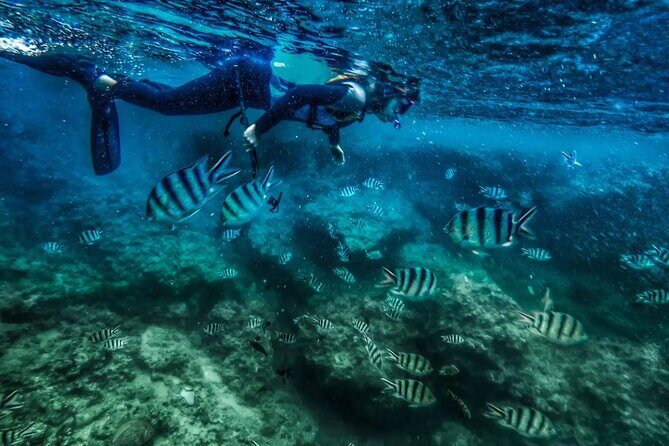 Bali Blue Lagoon Snorkeling with Private Transfer and Lunch - Final Thoughts: Is This Tour Worth It?