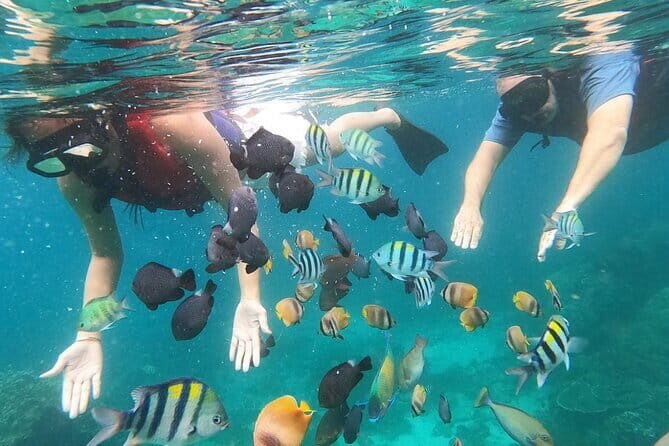 Bali Blue Lagoon Snorkeling with Waterfalls Tour - all included - FAQs