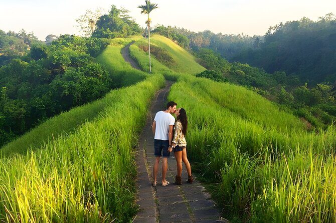 Bali Car-Charter: Go as your own trip to Ubud - Key Points