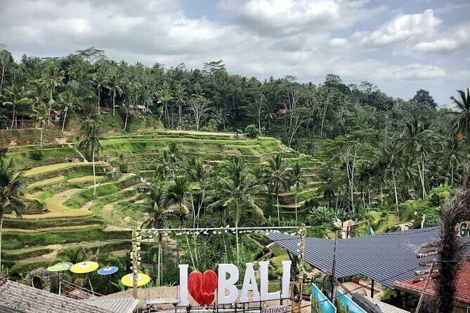 Bali Classic Volkswagen Safari and Kintamani Volcano Private Tour - Tegalalang Rice Terrace