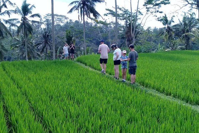 Bali Countryside Cycling Adventure - Bali Countryside Cycling Adventure: An Authentic Day in Balis Heartland