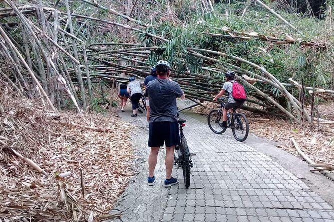 Bali Countryside Cycling Adventure - Who Should Consider This Tour?