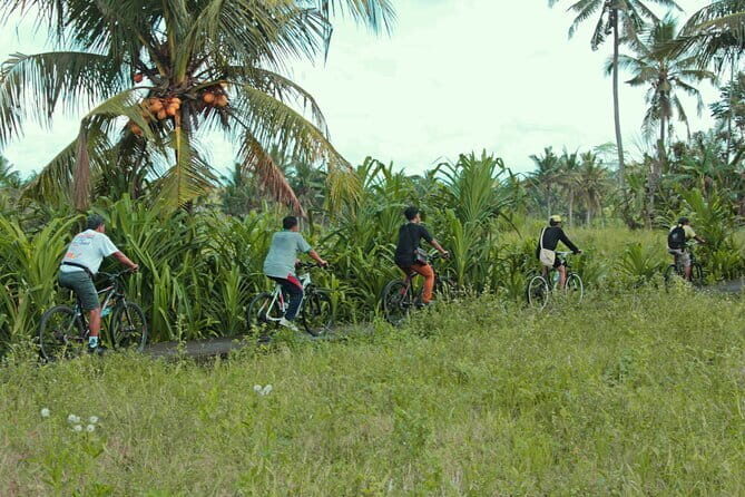 Bali Countryside Eco Cycling Tour include Lunch - Discover Bali’s Hidden Charm with the Countryside Eco Cycling Tour