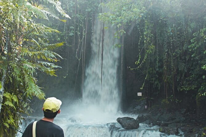 Bali Countryside Eco Cycling Tour include Lunch - A Deep Dive into the Bali Countryside Eco Cycling Tour