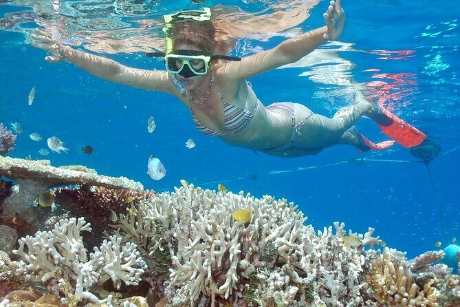 Bali Cruise Shore Excursion  Highlights Tour from Benoa Port - A Deep Dive into the Bali Shore Excursion