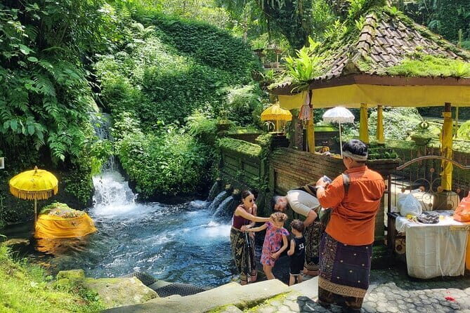 Bali Customizable Multi Language Tour with Driver-Guide - Key Points