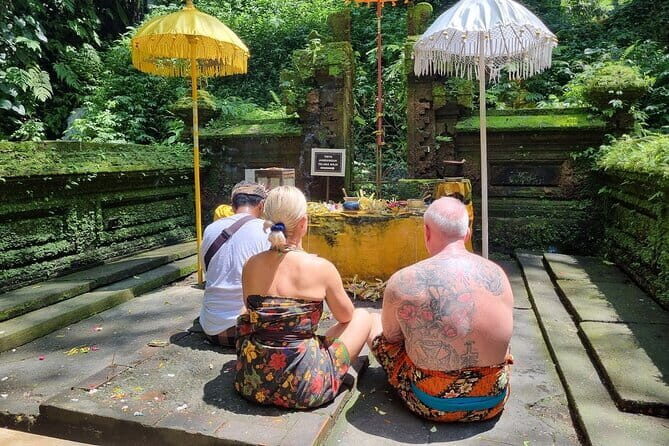 Bali Customizable Multi Language Tour with Driver-Guide - Who is This Tour Best For?