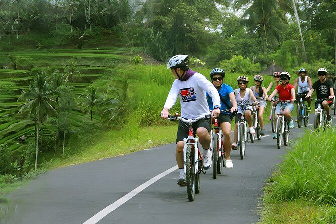 Bali Cycling and Jungle Swing Adventure Experience - Key Points