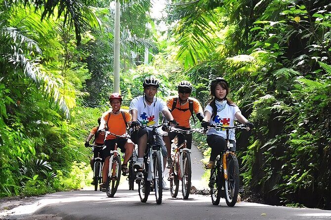 Bali Cycling and Ubud Waterfall Tour - Why You’ll Love the Bali Cycling and Ubud Waterfall Tour