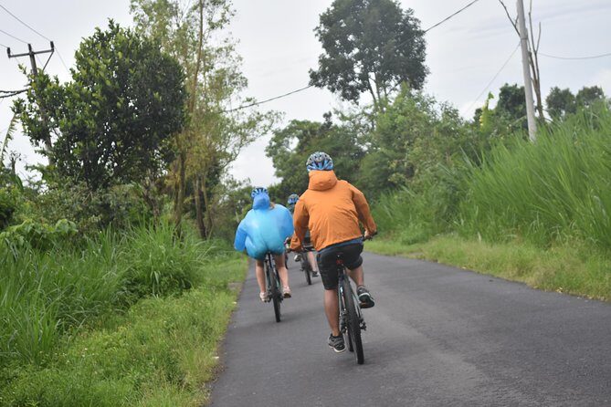 Bali Cycling Tour with Private Hotel Transfer - In-Depth Look at the Itinerary