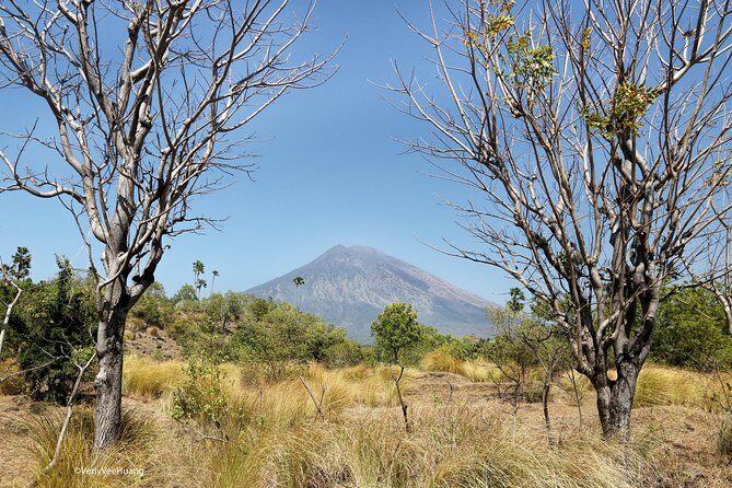 Bali Diving Day Trip-Manta Point/Tulamben Shipwreck-Fun Dive - A Closer Look at the Bali Diving Day Trip