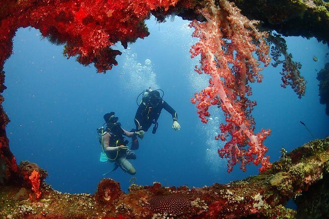 Bali Diving for Beginners: Tulamben Liberty Wreck - FAQs
