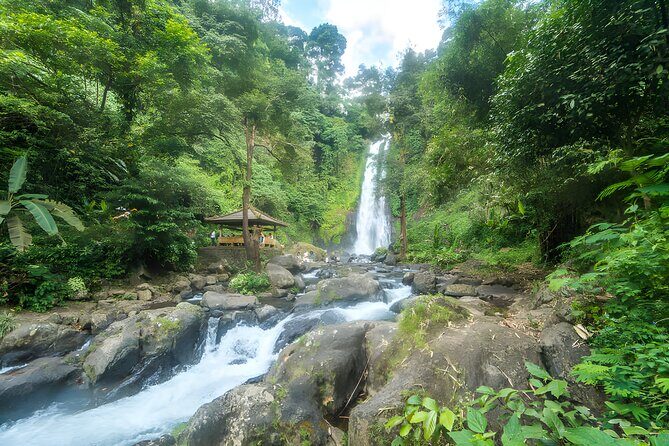 Bali Dolphin Watching Sunrise Tour in Lovina Beach - A Full Breakdown of the Experience