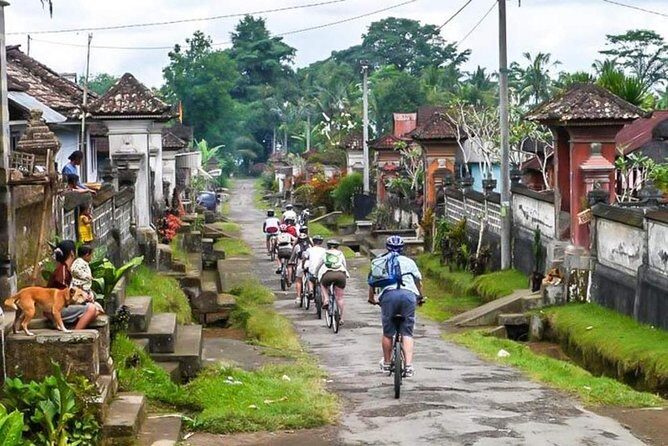 Bali Downhill Cycling and White Water Rafting - A Detailed Look at the Bali Downhill Cycling and White Water Rafting Tour