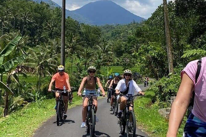 Bali Downhill Cycling Kintamani to Ubud with Private Transfer - Key Points