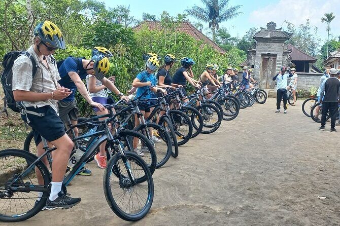 Bali Downhill Cycling Kintamani to Ubud with Private Transfer - Why This Tour Stands Out