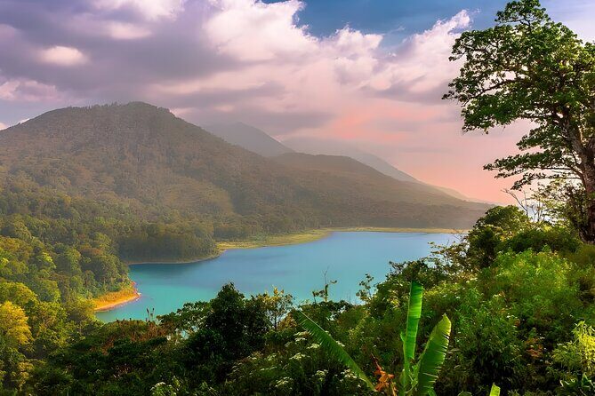 Bali Full-Day Car Charter: Beauty of North Bali Tour - Final Thoughts: Who Should Book This Tour?