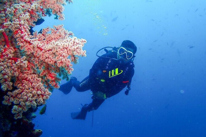 Bali Full Day Experience Scuba Diving Tour at Tulamben - A Closer Look at the Tulamben Diving Experience