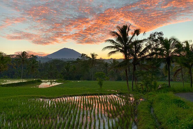 Bali Full Day Photography Tour - Cost and Value