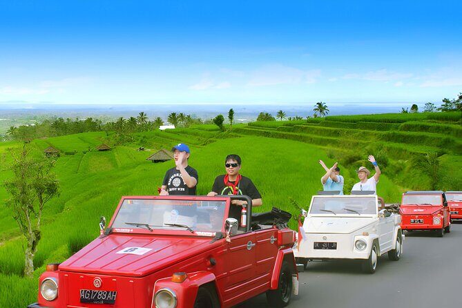 Bali Full-Day The Gate of Heaven Tour by VW Safari Classic Car - Authentic Insights from Reviewers