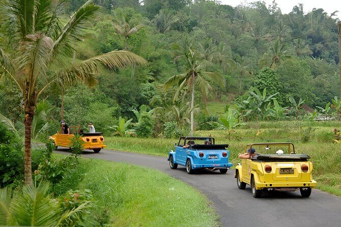 Bali Full-Day The Gate of Heaven Tour by VW Safari Classic Car - Who Is This Tour Best For?